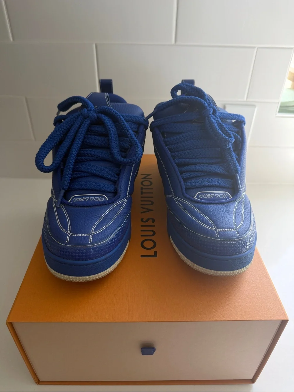 Louis Vuitton Men’s Blue Skate Sneakers